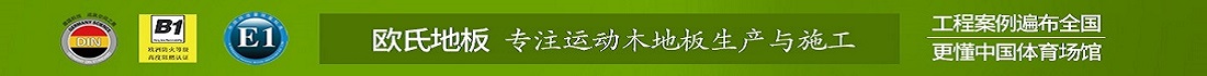 歐氏運動木地板